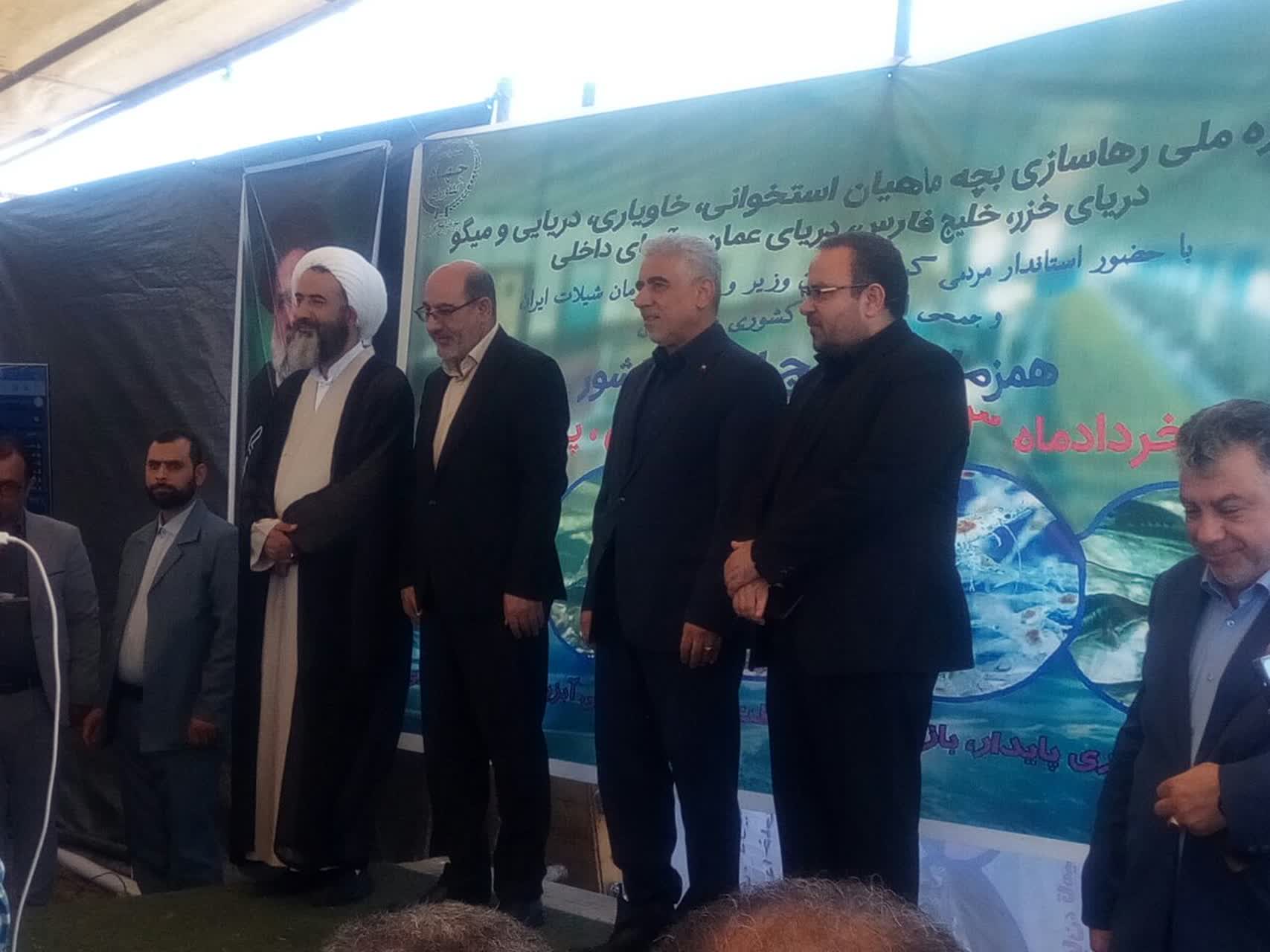 تصاویر