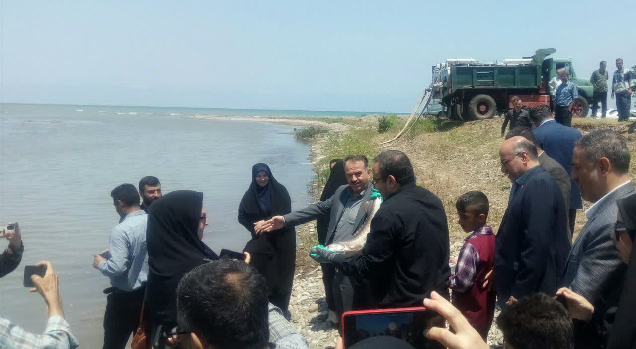 تصاویر