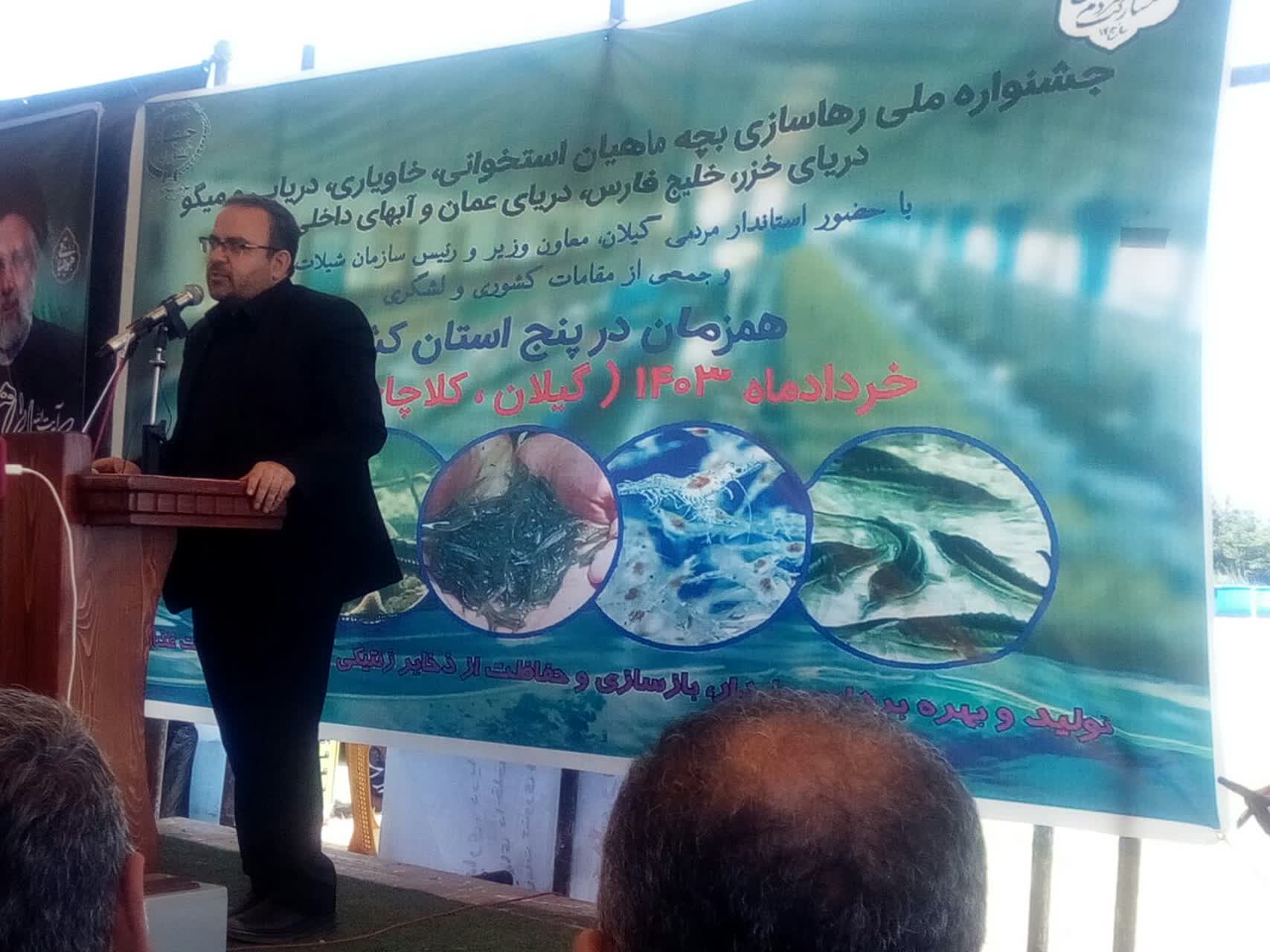 رئیس شیلات شهرستان رودسر از صید ۹۵۰ تن ماهی استخوانی در این شهرستان خبر داد 