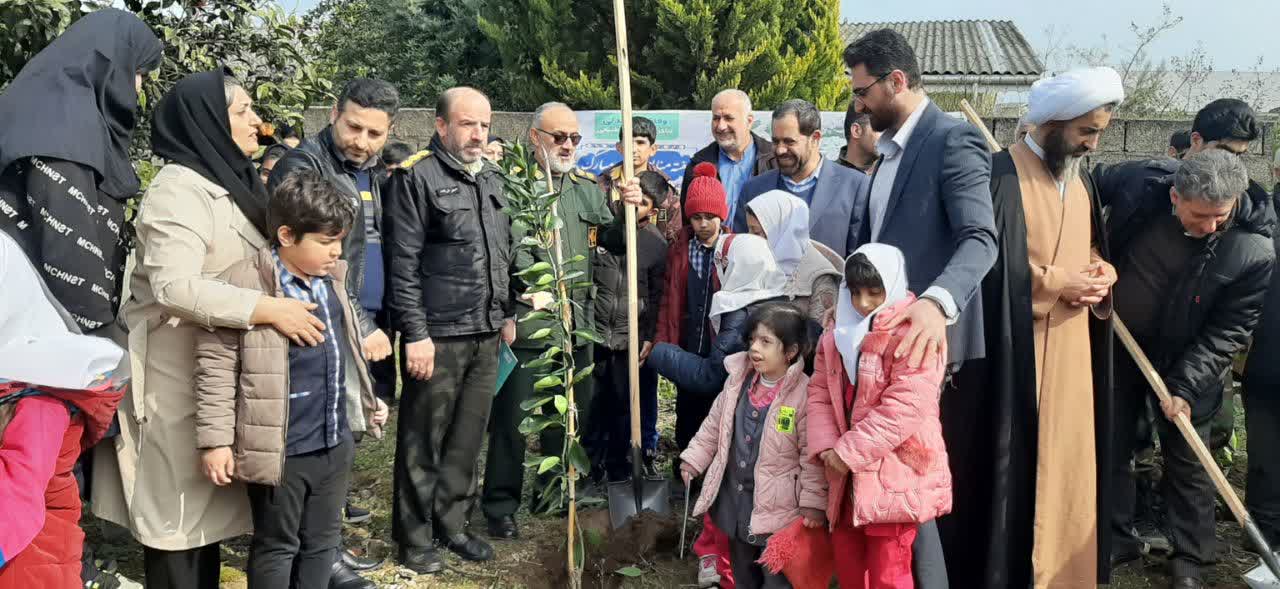 توزیع ۴۸ اصله درخت رایگان دررودسر