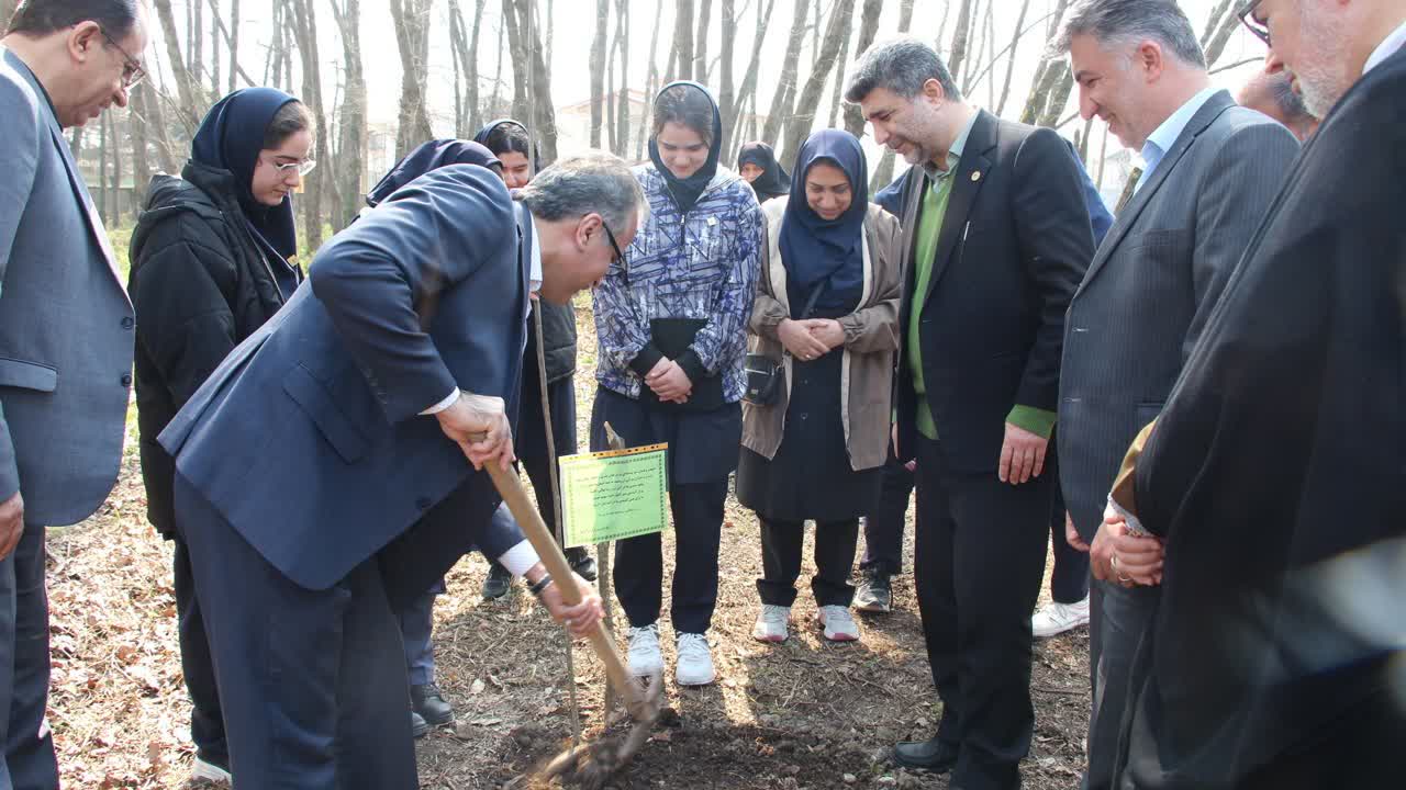 تصاویر