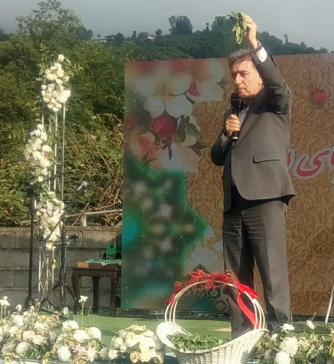 تصاویر