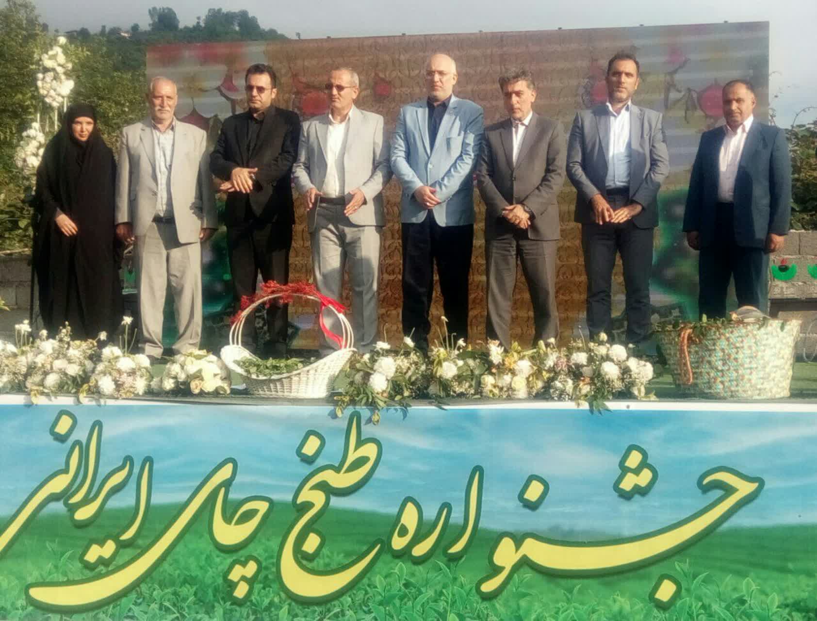 جشنواره طبخ چای در رحیم آباد رودسر گیلان برگزار شد