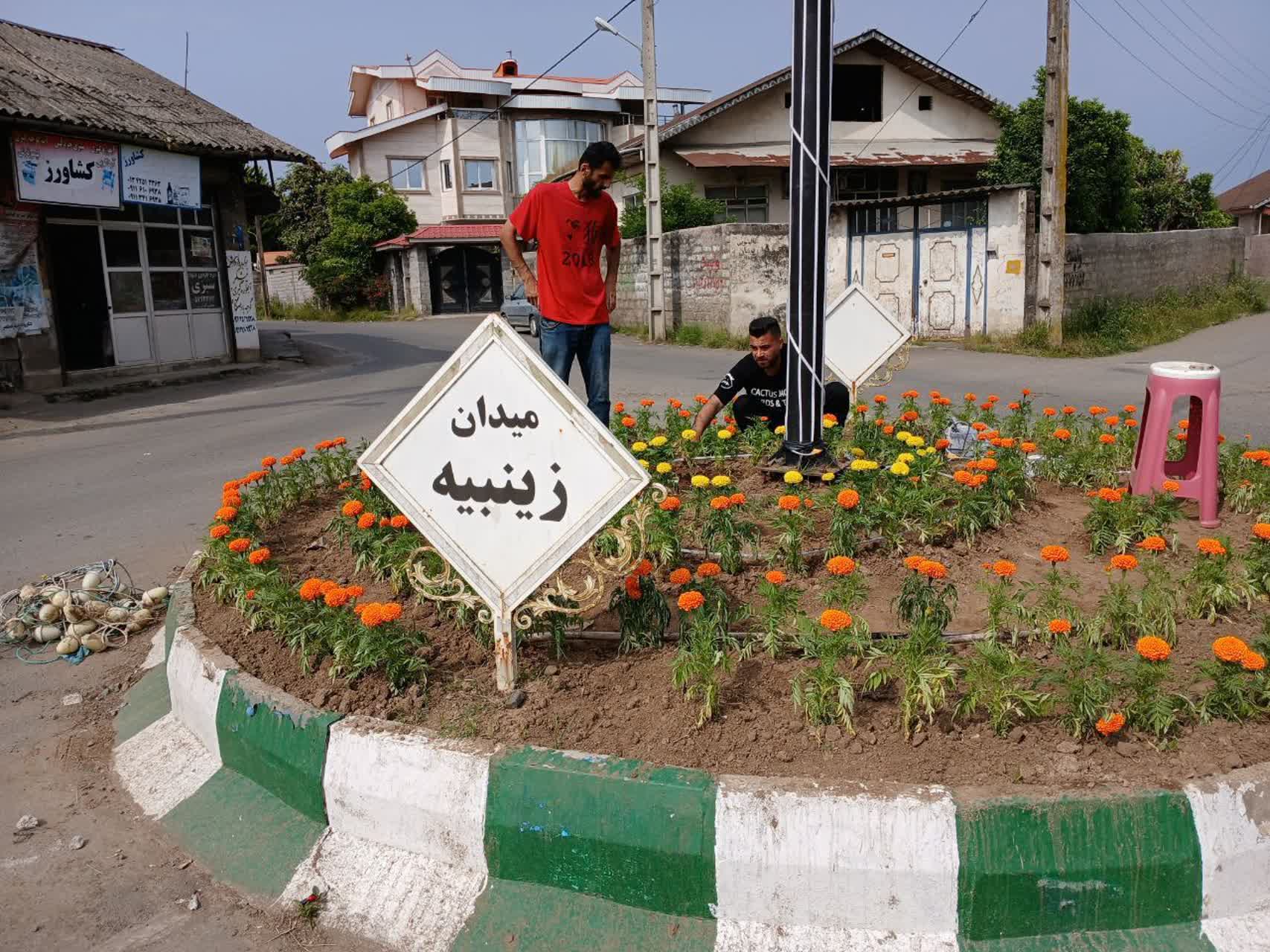 تصاویر
