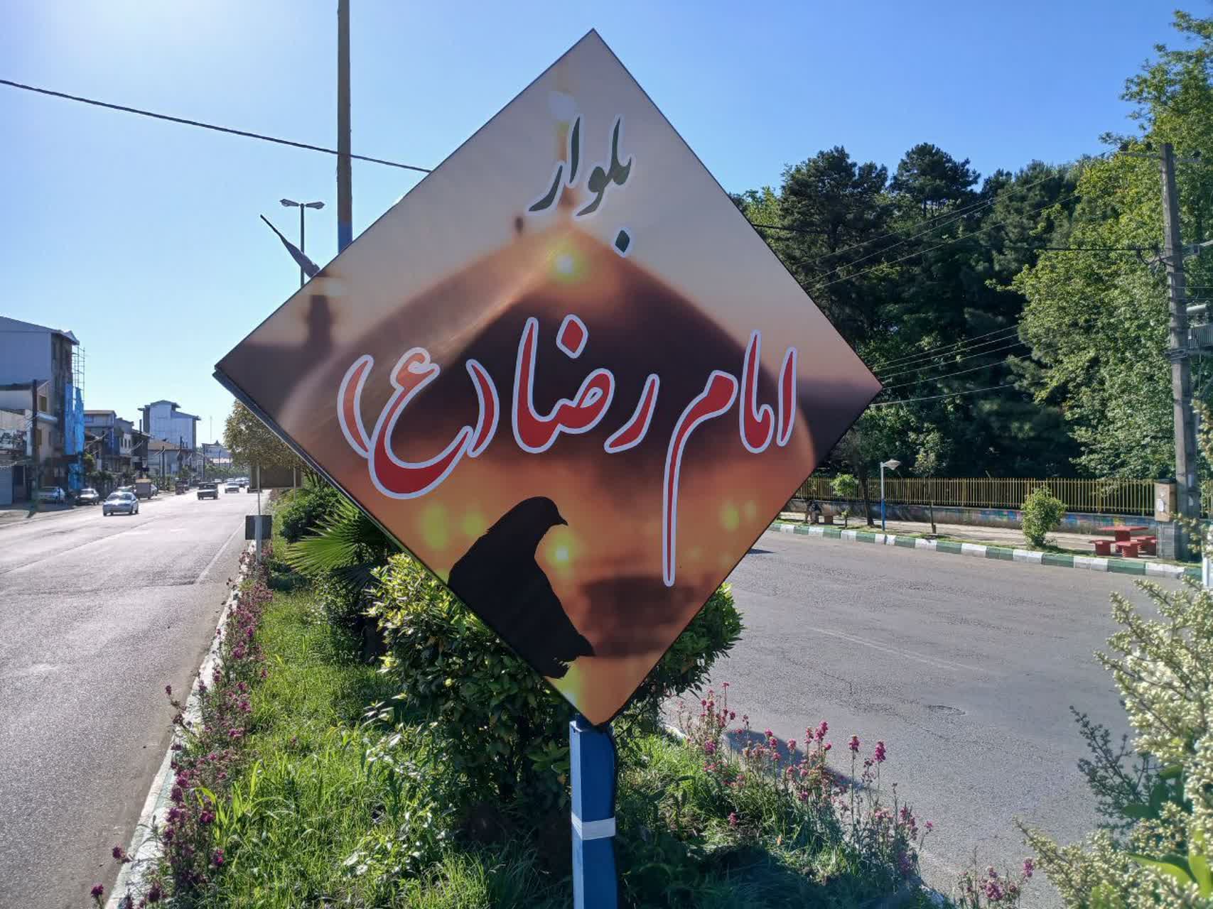 تصاویر