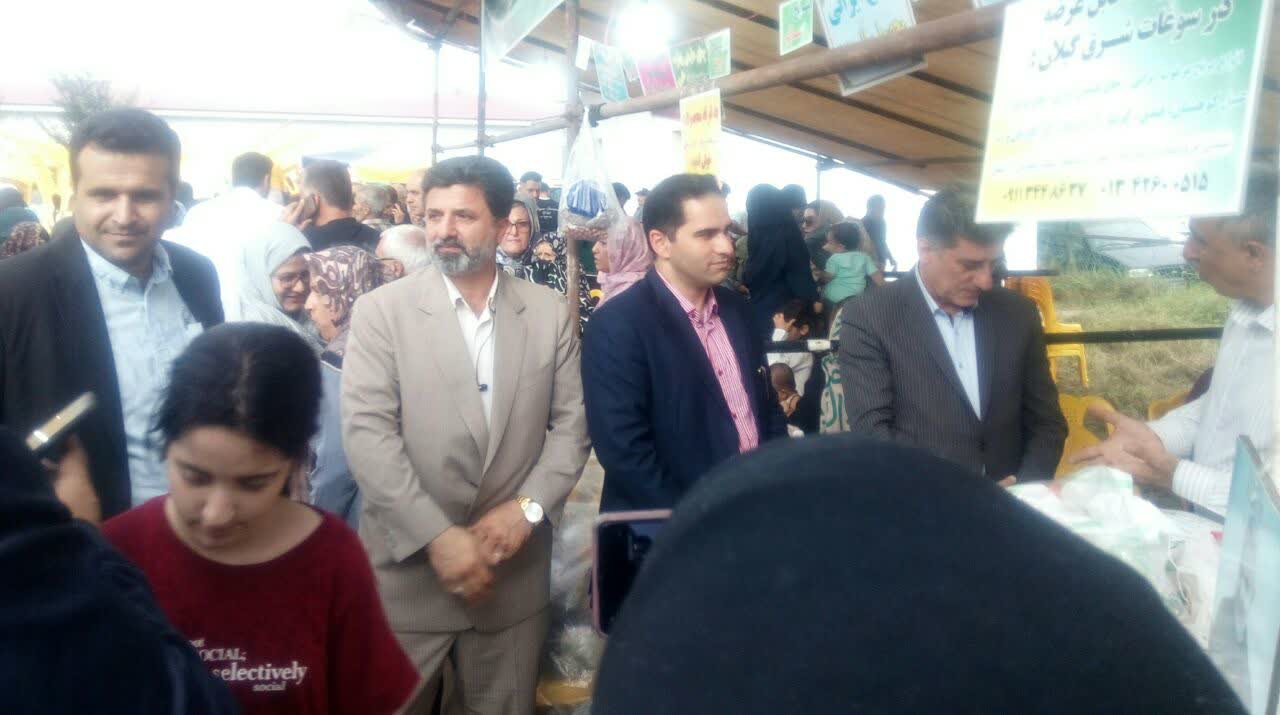 تصاویر