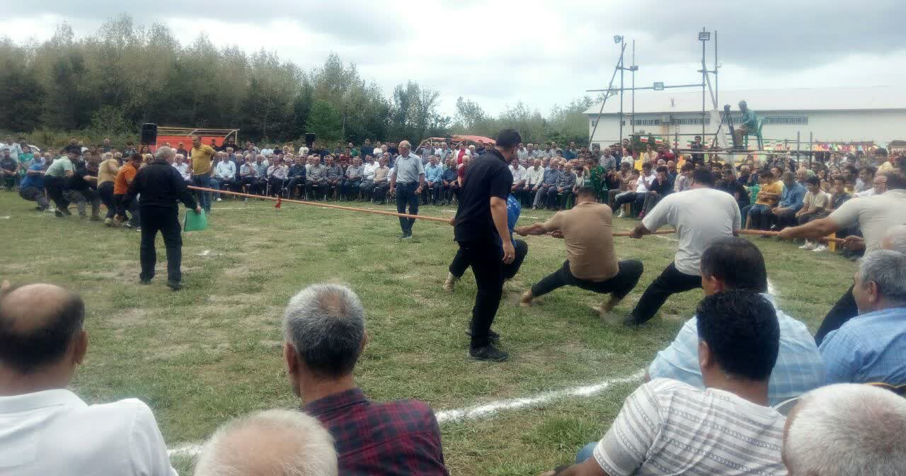 تصاویر