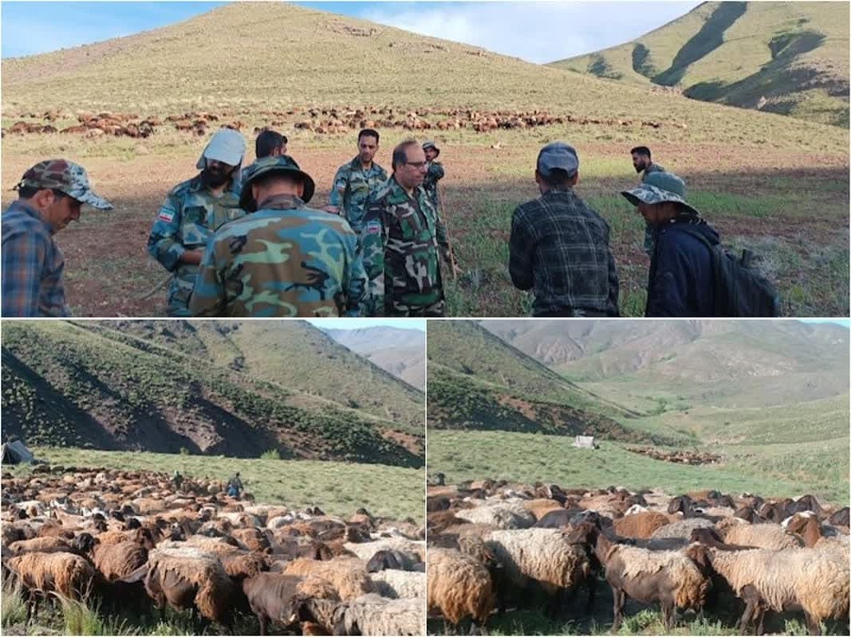 رئیس اداره منابع طبیعی و آبخیزداری شهرستان قزوین خبرداد: اخراج بیش از ۱۰۰۰۰ رأس دام غیر مجاز از مراتع شهرستان قزوین